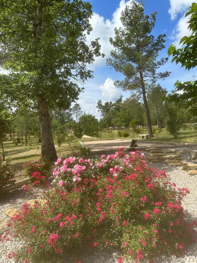 Superbe Villa Seillans La Grande Bastide Avec Piscine, Jardin, Climatisation Et Salle De Sport 외부 사진