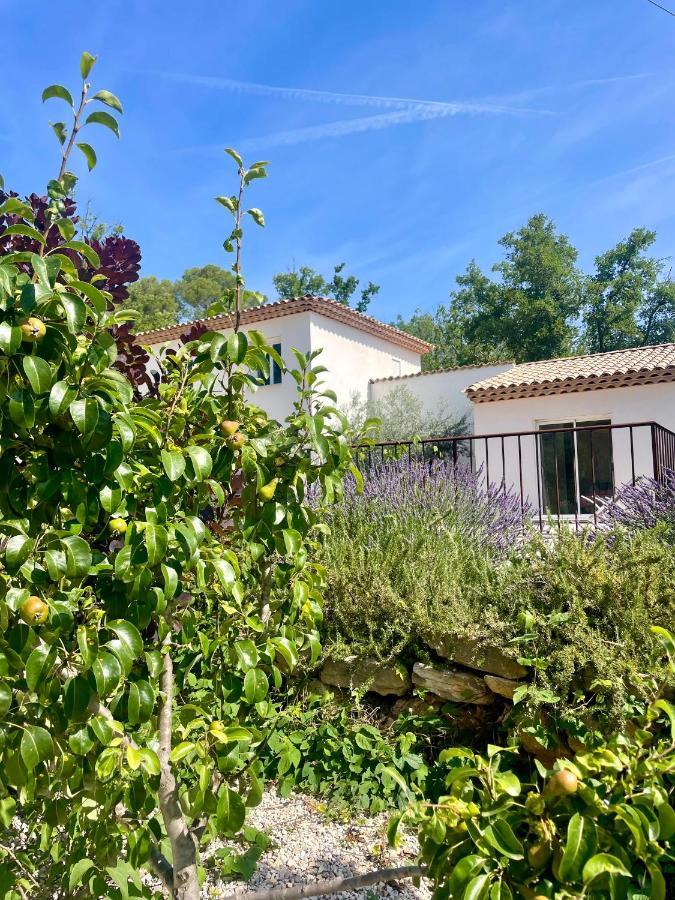 Superbe Villa Seillans La Grande Bastide Avec Piscine, Jardin, Climatisation Et Salle De Sport 외부 사진