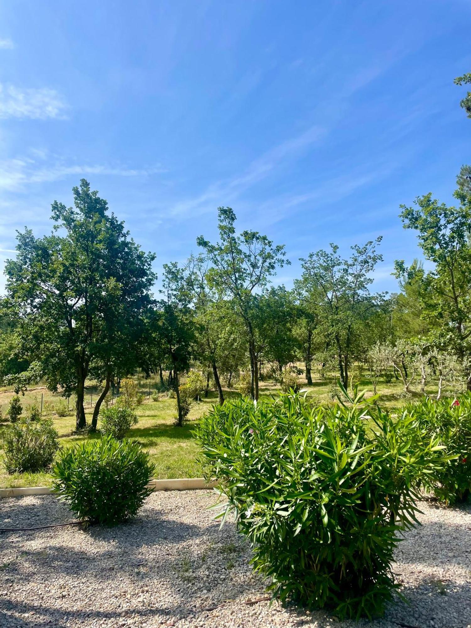 Superbe Villa Seillans La Grande Bastide Avec Piscine, Jardin, Climatisation Et Salle De Sport 외부 사진
