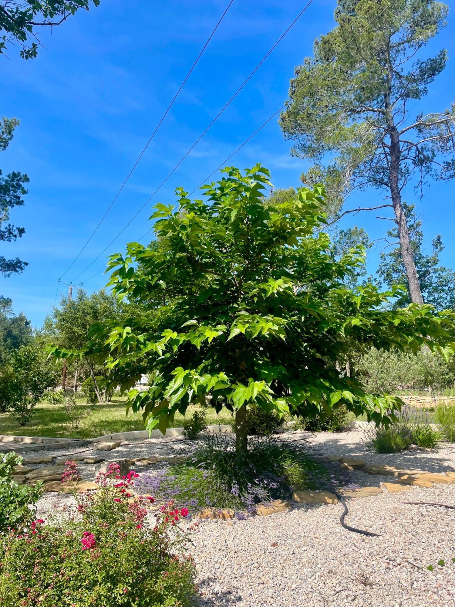 Superbe Villa Seillans La Grande Bastide Avec Piscine, Jardin, Climatisation Et Salle De Sport 외부 사진