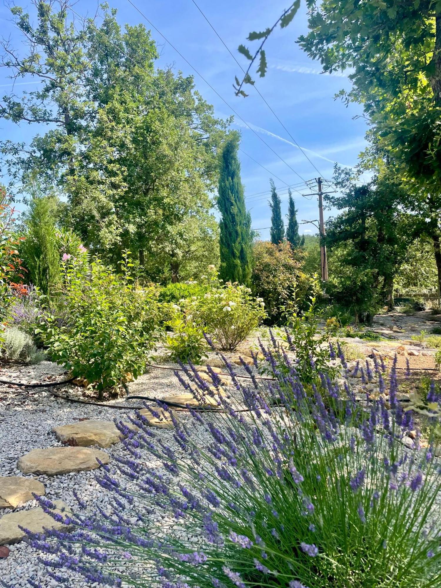Superbe Villa Seillans La Grande Bastide Avec Piscine, Jardin, Climatisation Et Salle De Sport 외부 사진