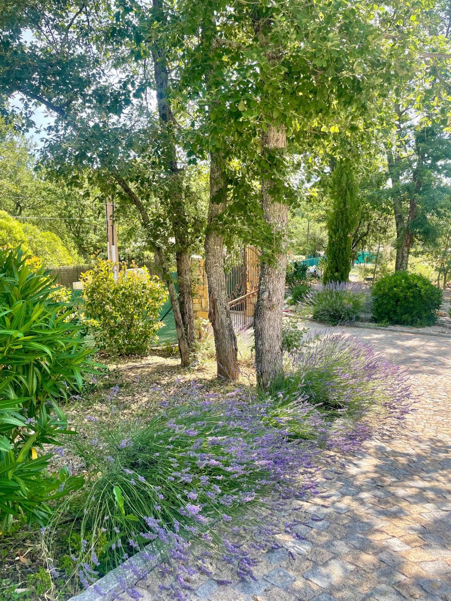 Superbe Villa Seillans La Grande Bastide Avec Piscine, Jardin, Climatisation Et Salle De Sport 외부 사진